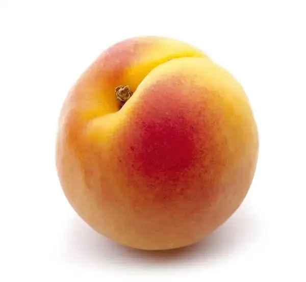 Jade Range JTRHE-4-3-36C Commercial Range, 36" W with 7 Burners and Convection oven - 180,000 BTU